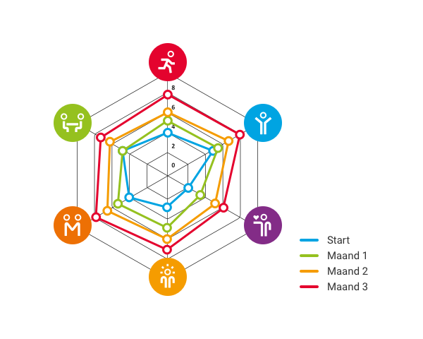 Het spinnenweb van positieve gezondheid. Het spinnenweb van positieve gezondheid.